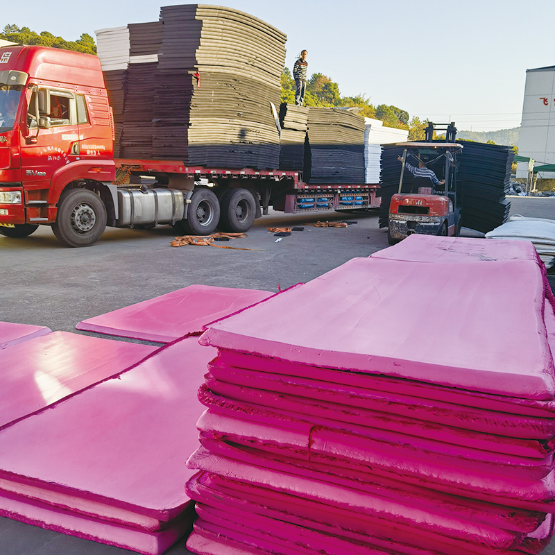 eva toxic